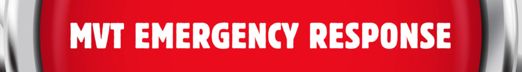 Music Venue Trust Emergency Response